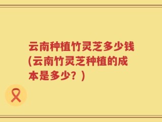 云南种植竹灵芝多少钱(云南竹灵芝种植的成本是多少？)