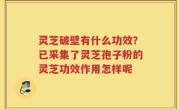 灵芝破壁有什么功效？已采集了灵芝孢子粉的灵芝功效作用怎样呢