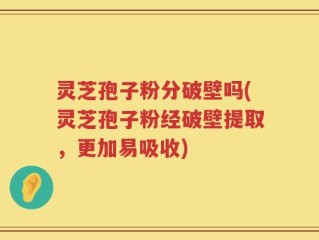 灵芝孢子粉分破壁吗(灵芝孢子粉经破壁提取，更加易吸收)