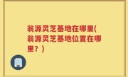 翁源灵芝基地在哪里(翁源灵芝基地位置在哪里？)