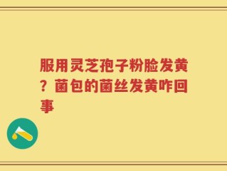 服用灵芝孢子粉脸发黄？菌包的菌丝发黄咋回事