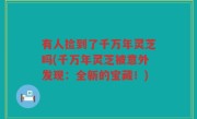 有人捡到了千万年灵芝吗(千万年灵芝被意外发现：全新的宝藏！)