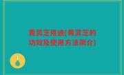 黄灵芝用途(黄灵芝的功效及使用方法简介)