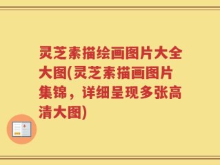 灵芝素描绘画图片大全大图(灵芝素描画图片集锦，详细呈现多张高清大图)