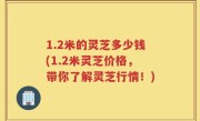 1.2米的灵芝多少钱(1.2米灵芝价格，带你了解灵芝行情！)