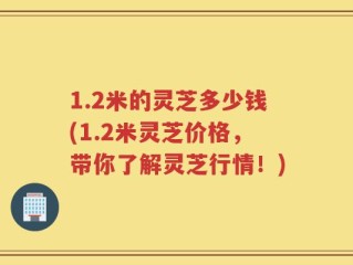 1.2米的灵芝多少钱(1.2米灵芝价格，带你了解灵芝行情！)