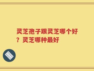 灵芝孢子跟灵芝哪个好？灵芝哪种最好