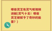 哪些灵芝有灵气呢视频讲解(灵气十足！哪些灵芝被赋予了奇妙的能量？)