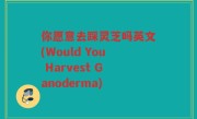你愿意去踩灵芝吗英文(Would You Harvest Ganoderma)