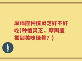 摩羯座种植灵芝好不好吃(种植灵芝，摩羯座尝到美味佳肴？)
