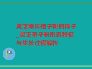 灵芝刚长孢子粉的样子_灵芝孢子粉形态特征与生长过程解析