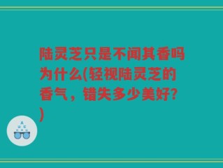 陆灵芝只是不闻其香吗为什么(轻视陆灵芝的香气，错失多少美好？)