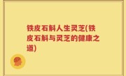 铁皮石斛人生灵芝(铁皮石斛与灵芝的健康之道)