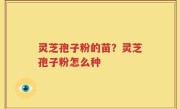 灵芝孢子粉的苗？灵芝孢子粉怎么种