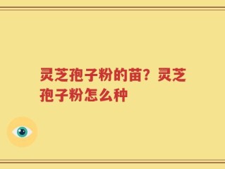 灵芝孢子粉的苗？灵芝孢子粉怎么种