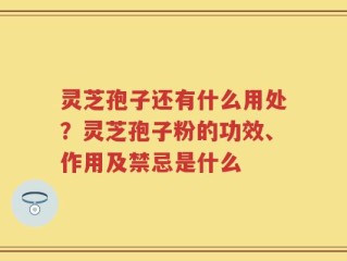 灵芝孢子还有什么用处？灵芝孢子粉的功效、作用及禁忌是什么