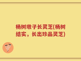 杨树墩子长灵芝(杨树结实，长出珍品灵芝)