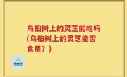 乌桕树上的灵芝能吃吗(乌桕树上的灵芝能否食用？)