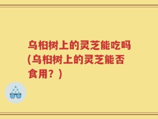 乌桕树上的灵芝能吃吗(乌桕树上的灵芝能否食用？)