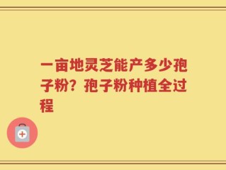 一亩地灵芝能产多少孢子粉？孢子粉种植全过程