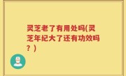 灵芝老了有用处吗(灵芝年纪大了还有功效吗？)