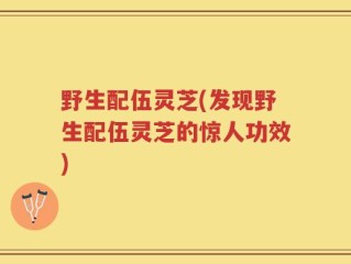 野生配伍灵芝(发现野生配伍灵芝的惊人功效)