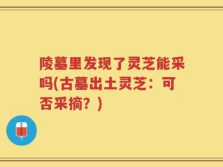 陵墓里发现了灵芝能采吗(古墓出土灵芝：可否采摘？)