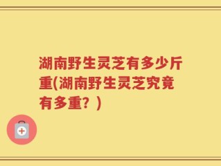 湖南野生灵芝有多少斤重(湖南野生灵芝究竟有多重？)