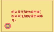 绍兴灵芝镇热闹街道(绍兴灵芝镇街道热闹非凡)