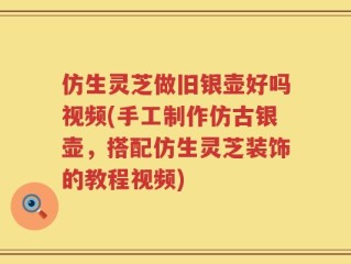 仿生灵芝做旧银壶好吗视频(手工制作仿古银壶，搭配仿生灵芝装饰的教程视频)