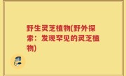 野生灵芝植物(野外探索：发现罕见的灵芝植物)
