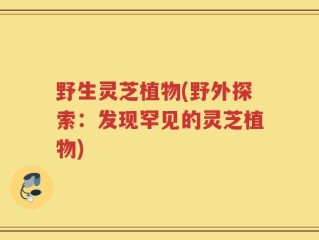 野生灵芝植物(野外探索：发现罕见的灵芝植物)