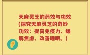 天麻灵芝的药效与功效(探究天麻灵芝的奇妙功效：提高免疫力、缓解焦虑、改善睡眠。)