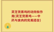 灵芝煲黑鸡的功效和作用(灵芝煲黑鸡——中药与禽肉的完美结合)