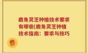 鹿角灵芝种植技术要求有哪些(鹿角灵芝种植技术指南：要求与技巧