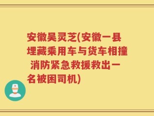 安徽吴灵芝(安徽一县埋藏乘用车与货车相撞 消防紧急救援救出一名被困司机)