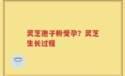 灵芝孢子粉受孕？灵芝生长过程