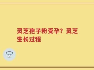 灵芝孢子粉受孕？灵芝生长过程