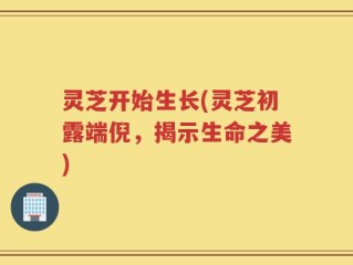 灵芝开始生长(灵芝初露端倪，揭示生命之美)