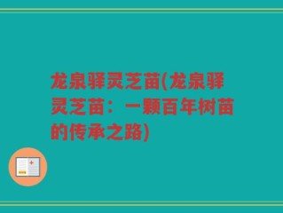 龙泉驿灵芝苗(龙泉驿灵芝苗：一颗百年树苗的传承之路)