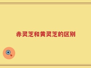 赤灵芝和黄灵芝的区别