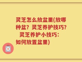 灵芝怎么放盆里(放哪种盆？灵芝养护技巧？  灵芝养护小技巧：如何放置盆里)