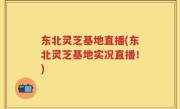 东北灵芝基地直播(东北灵芝基地实况直播！)