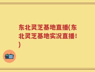 东北灵芝基地直播(东北灵芝基地实况直播！)