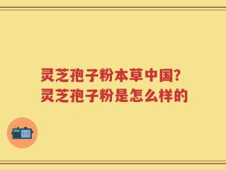 灵芝孢子粉本草中国？灵芝孢子粉是怎么样的