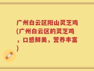 广州白云区阳山灵芝鸡(广州白云区的灵芝鸡，口感鲜美，营养丰富)