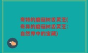 奇特的磨菇树舌灵芝(奇异的磨菇树舌灵芝：自然界中的宝藏)