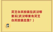 灵芝白芪胶囊在武汉哪里买(武汉哪里有灵芝白芪胶囊出售？)