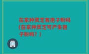 在家种灵芝有孢子粉吗(在家种灵芝可产生孢子粉吗？)