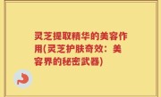 灵芝提取精华的美容作用(灵芝护肤奇效：美容界的秘密武器)